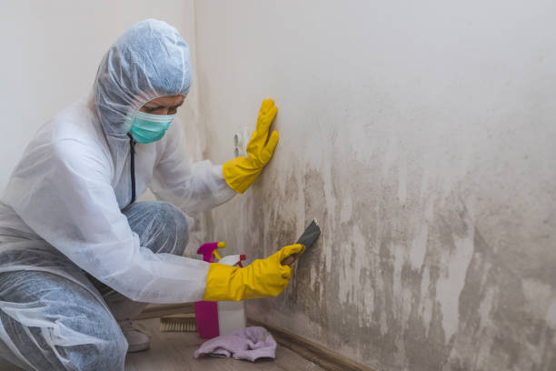 Best Residential Mold Removal  in Granger, WA