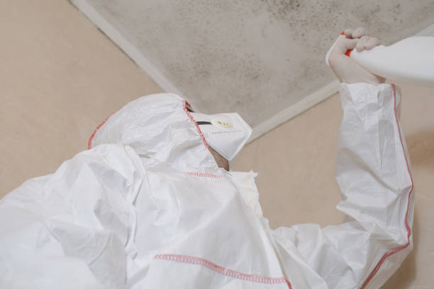 Best Mold Testing  in Granger, WA